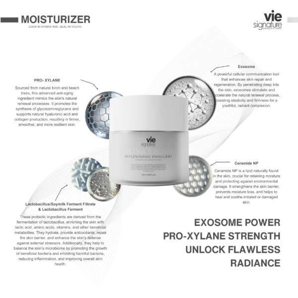 Ageless Moisturiser - Image 2
